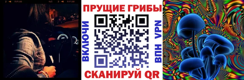 сайты даркнета как зайти  Новошахтинск  Псилоцибиновые грибы ЛСД  МЕГА онион 