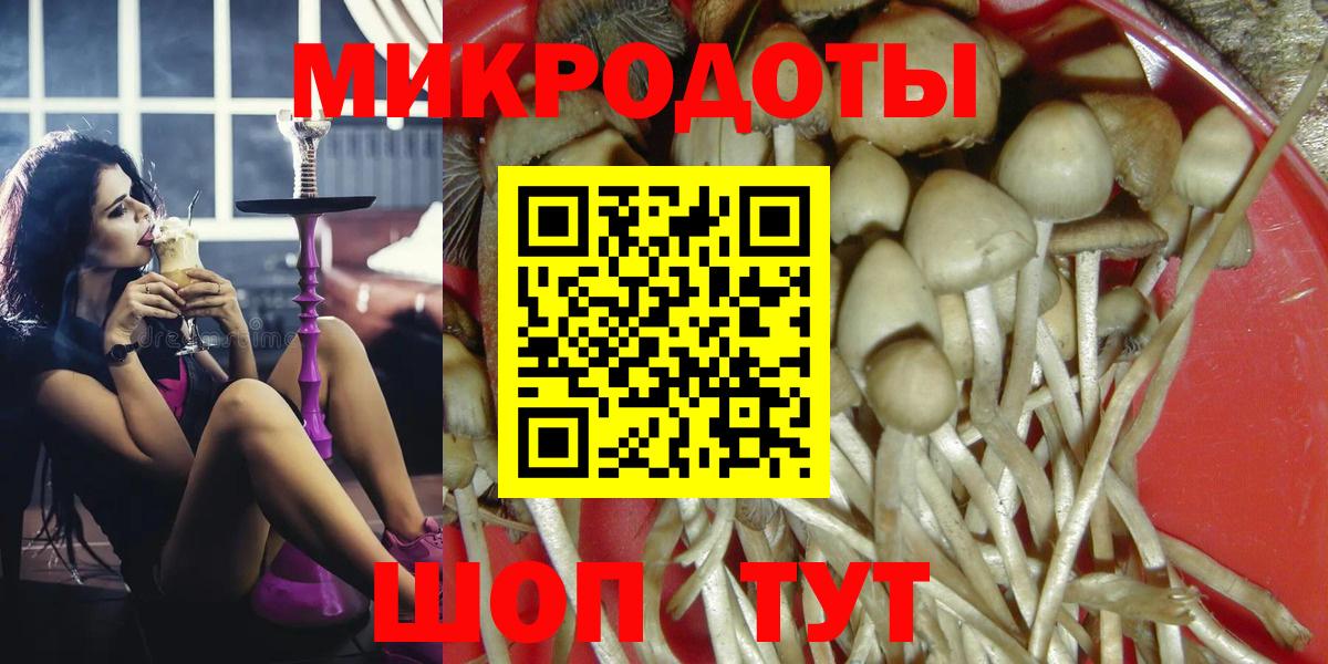 Новошахтинск  Псилоцибиновые грибы Psilocybe  Вход с VPN  Галлюциногенные грибы Cubensis 
